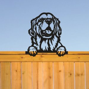 peeking dog golden retrievers